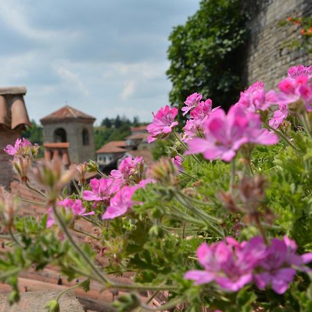 迪莫拉斯托里科罗曼迪卡伊尔索莱伊娜卢纳乡村民宿 Cerretto Langhe 外观 照片