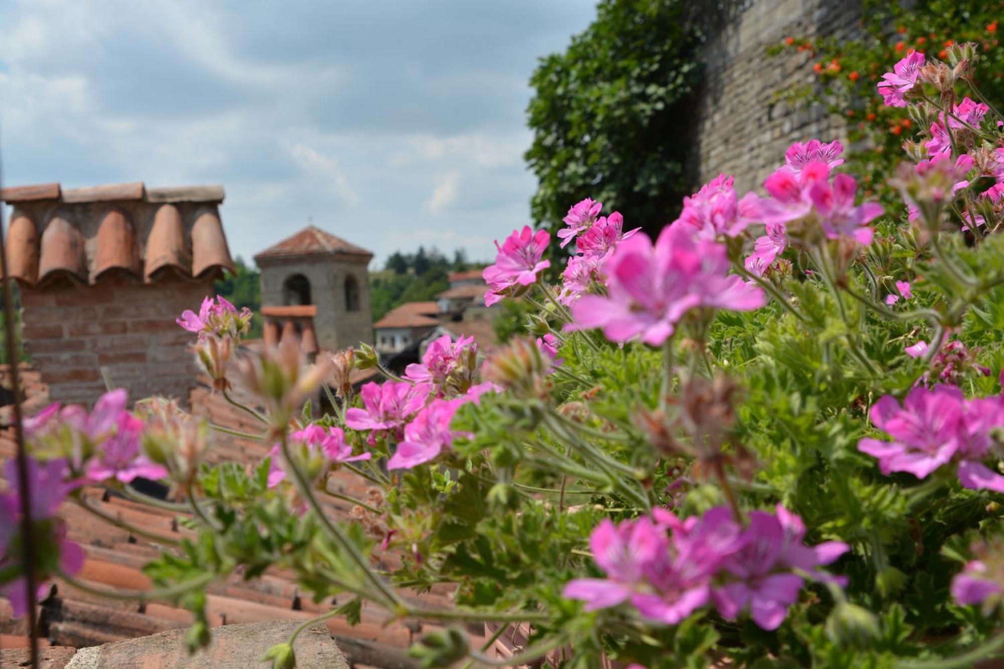 迪莫拉斯托里科罗曼迪卡伊尔索莱伊娜卢纳乡村民宿 Cerretto Langhe 外观 照片